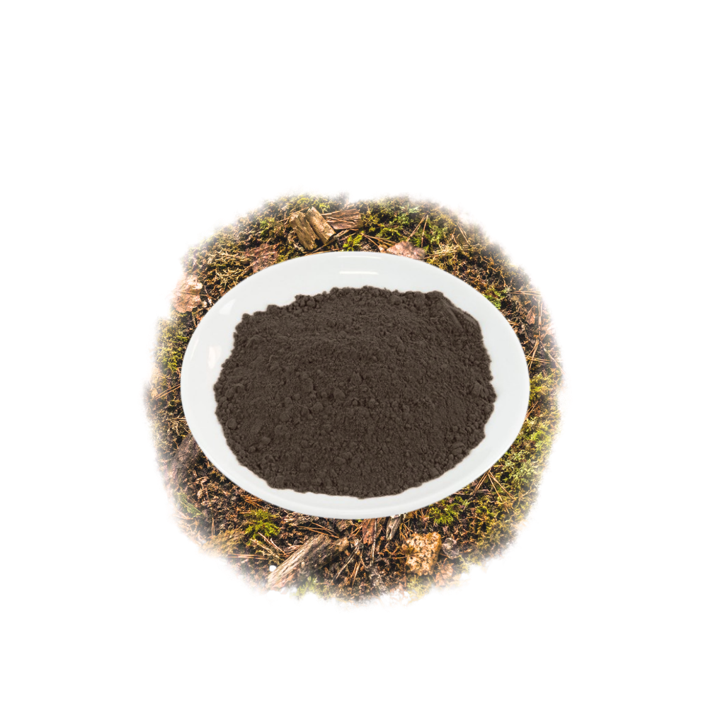 Farinha de Morilles
